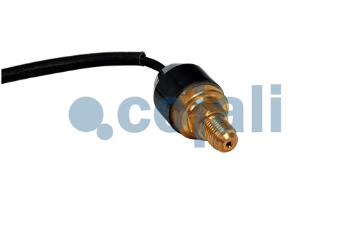 PRESSURE SWITCH, 2263021, 309-5795