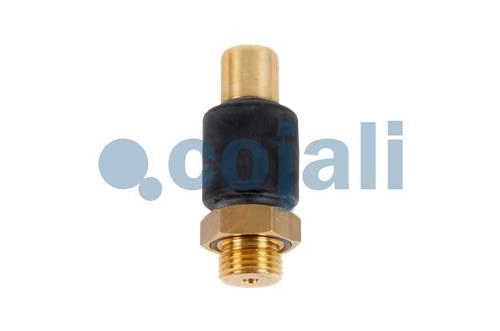 SAFETY VALVE, 2280112, 4346082250