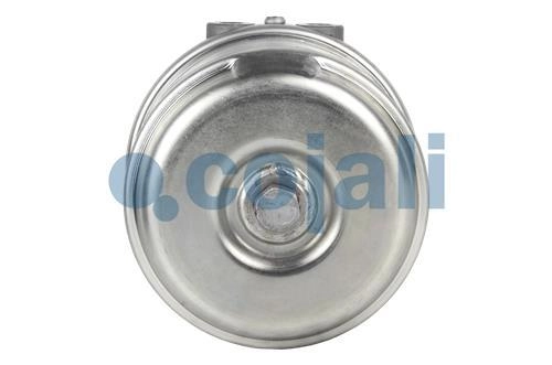 SPRING BRAKE (WEDGE BRAKE) 20/24, 2351418, BY9401