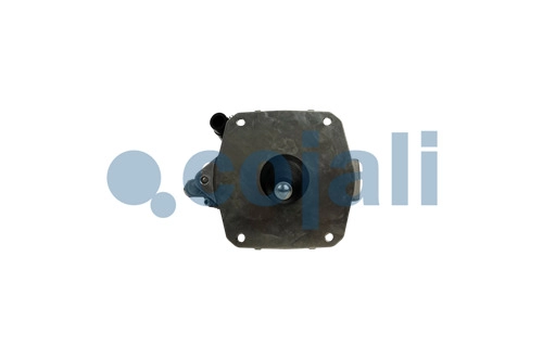 CLUTCH SERVO, 2550206, 1000785679AM