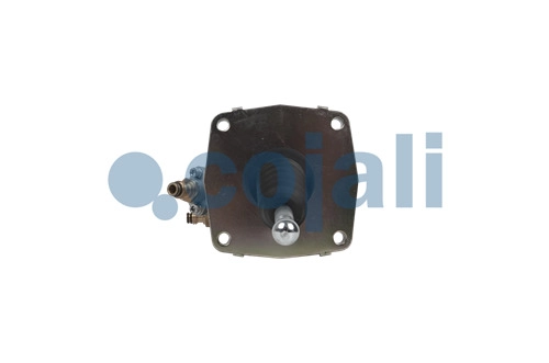 CLUTCH SERVO, 2550208, 1000443286AM