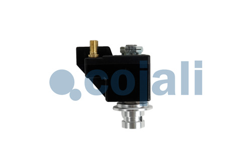 VALVE DE FREIN MOTEUR, 2841001, 20913287