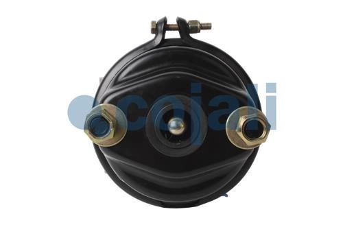 DOUBLE DIAPHRAGM SPRING BRAKE (DISC BRAKE) 16/24, 2259056, 9253840100