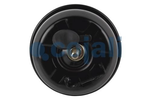 DOUBLE DIAPHRAGM SPRING BRAKE (DISC BRAKE) 20/24, 2851115, 41229066