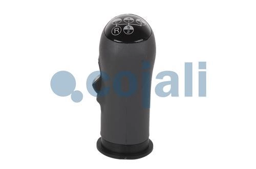 GEARBOX KNOB, 2880140, 20488065