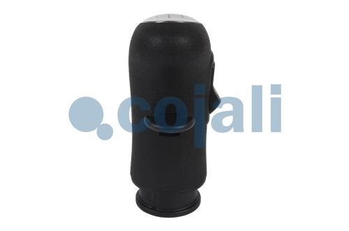 GEARBOX KNOB, 2880157, 5010639250