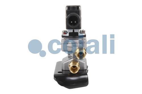 ÉLECTROVALVE EGR | 2880200