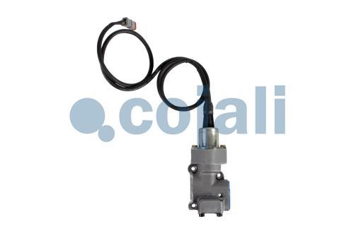 VALVE DE COUPURE DE CARBURANT | 2880225