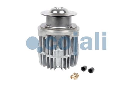 CYLINDRE FREIN MOTEUR, 2880245, 20722238