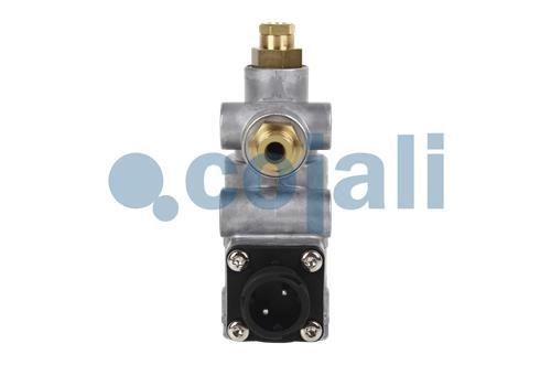 ÉLECTROVALVE EGR | 2880248