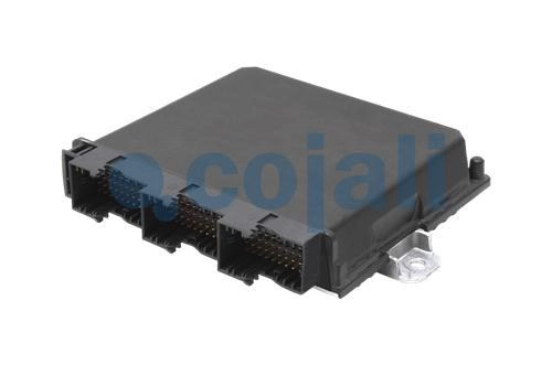 ELECTRONIC CONTROL UNIT OF CENTRAL COMPUTER REMAN, 351493, 1785012