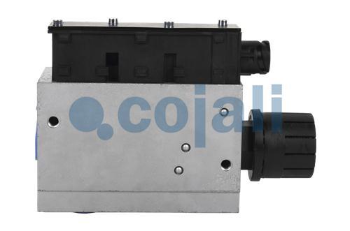 354321 | 0501100055 | ECAS SOLENOID VALVE REMAN - Cojali Parts