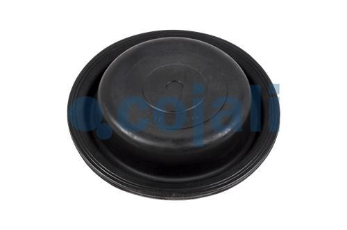 24" DIAPHRAGM DISC BRAKE, 6001118, 47577017122