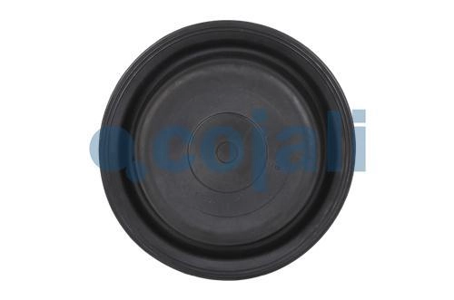 24" DIAPHRAGM DISC BRAKE, 6001118, 47577017122