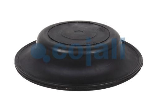 27" DIAPHRAGM NORMAL STROKE, 6001120, 8971205474