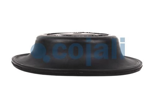 27" DIAPHRAGM NORMAL STROKE, 6001120, 8971205474