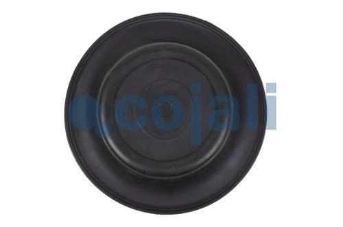 27" DIAPHRAGM NORMAL STROKE, 6001120, 8971205474