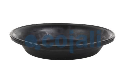 30" DIAPHRAGM NORMAL STROKE, 6001121, 8971205404