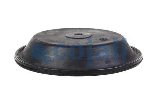 30" DIAPHRAGM NORMAL STROKE, 6001121, 8971205404