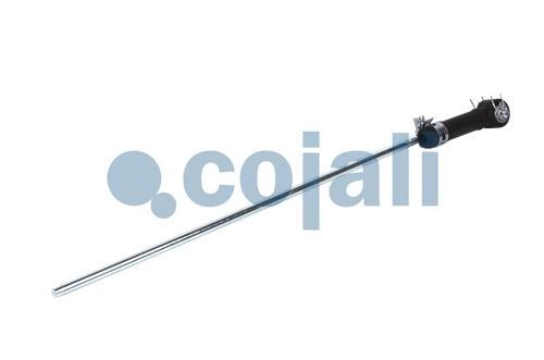 ROD/STEM, 6002206, 4640027302