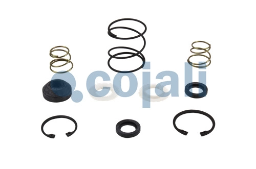 VALVE REPAIR KIT, 6012003, NO OEM