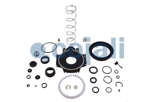 CLUTCH SERVO REPAIR KIT | 6012048