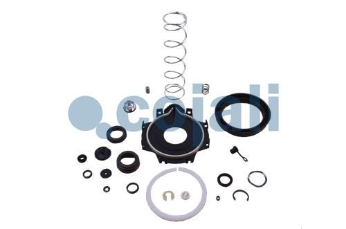 CLUTCH SERVO REPAIR KIT, 6012048, 9700519572