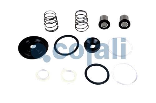 VALVE REPAIR KIT, 6012051, 4613190092