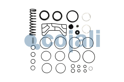 VALVE REPAIR KIT, 6012054, NO OEM