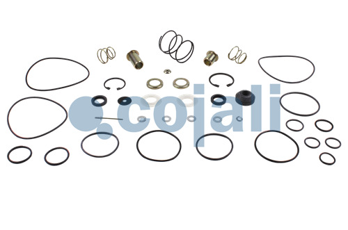 KIT DE RÉPARATION DE VALVE, 6012063, 4613070022