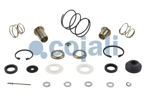 KIT DE RÉPARATION DE VALVE, 6012063, 4613070022