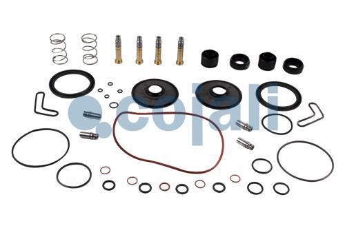 VALVE REPAIR KIT, 6012075, 4801049202*X