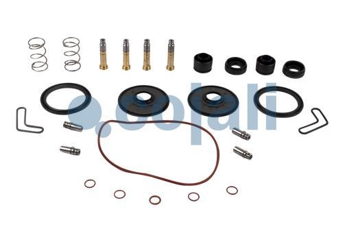 VALVE REPAIR KIT, 6012075, 4801049202*X