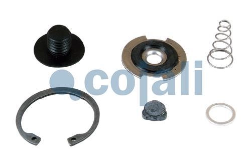 VALVE REPAIR KIT, 6012078, 4756040022