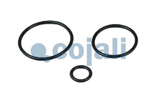 VALVE REPAIR KIT, 6012078, 4756040022