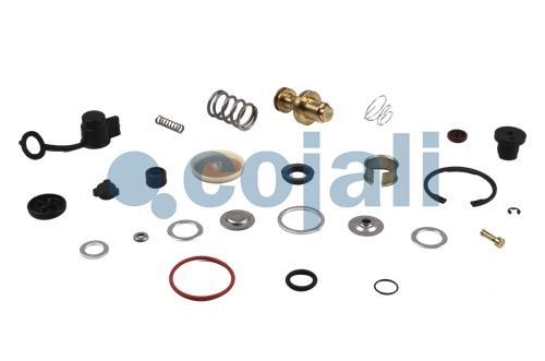 VALVE REPAIR KIT, 6012113, NO OEM