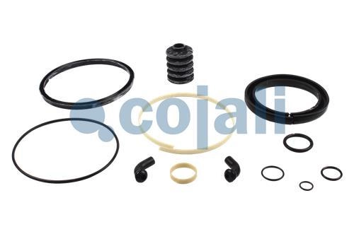 SPRING BRAKE REPAIR KIT | 6012116