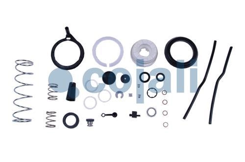 CLUTCH SERVO REPAIR KIT, 6012131, 9700519042