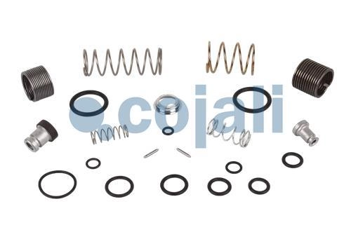 VALVE REPAIR KIT, 6012137, 9617220032