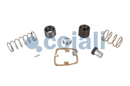 VALVE REPAIR KIT, 6012139, 9617220022