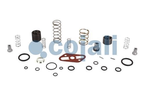 VALVE REPAIR KIT, 6012154, 9617220042