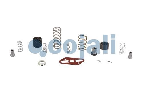 VALVE REPAIR KIT, 6012154, 9617220042