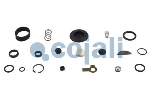 VALVE REPAIR KIT, 6012193, 4640040002