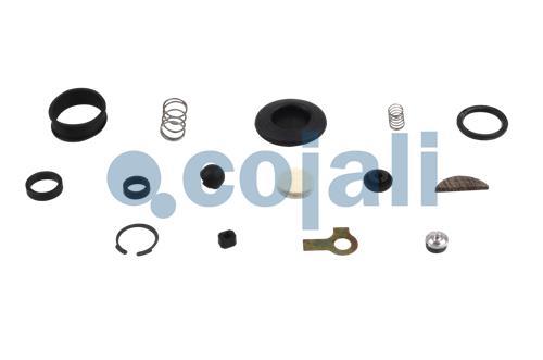 VALVE REPAIR KIT, 6012193, 4640040002