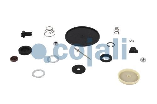 VALVE REPAIR KIT, 6012205, 432415XXX2