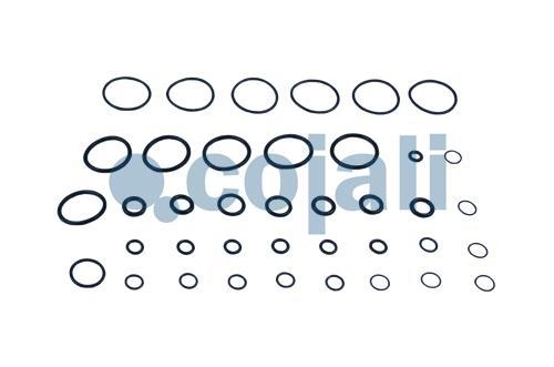 VALVE REPAIR KIT, 6012209, 4729000082*X