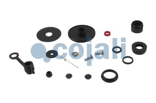 VALVE REPAIR KIT, 6012212, NO OEM