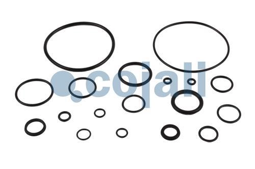 VALVE REPAIR KIT, 6012212, NO OEM