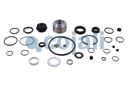 CLUTCH SERVO REPAIR KIT | 6012231