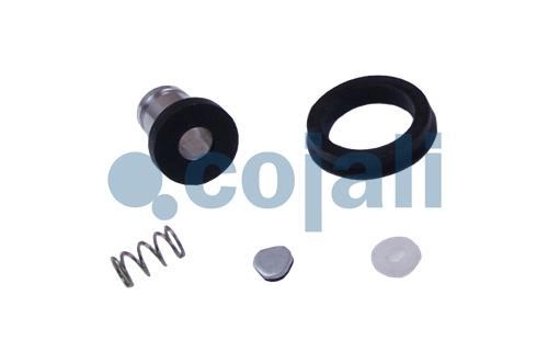 VALVE REPAIR KIT, 6012240, 9730090002